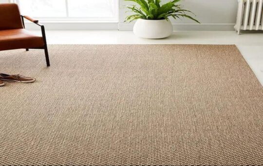 Why Are Sisal Rugs the Perfect Blend of Natural Beauty and Durability
