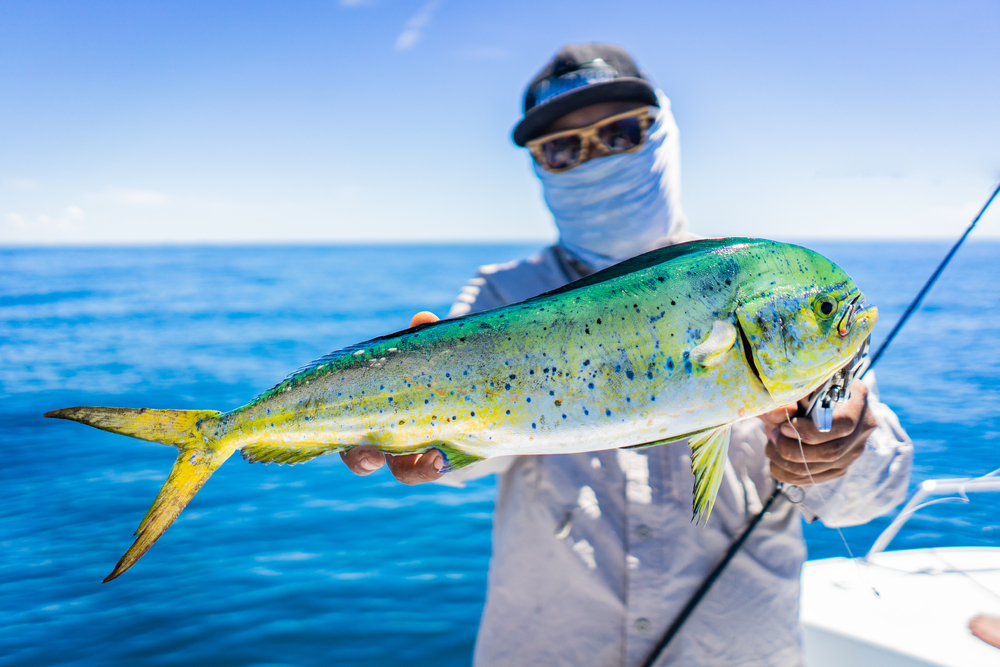 Angler,Is,Happy,With,The,Mahi-mahi,On,The,Blue,Sea.